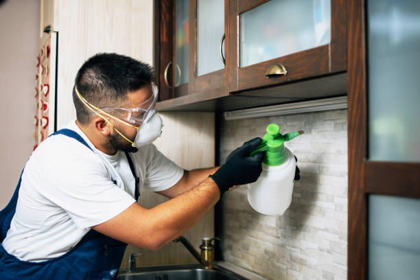 Best Flea Control Services  in Richwood, NJ