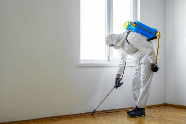 Best Pest Prevention Services  in Richwood, NJ