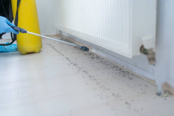 Best Pest Removal Services  in Richwood, NJ