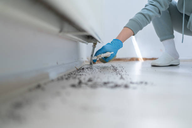 Best Pest Inspection Near Me  in Richwood, NJ
