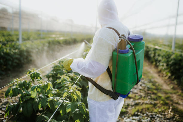 Best Wasp Removal Services  in Richwood, NJ